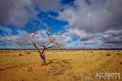 _MG_0008-Edit.jpg