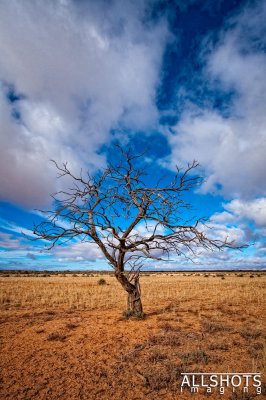 _MG_0011-Edit.jpg