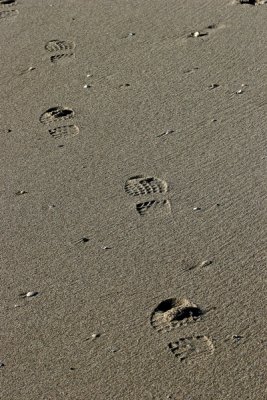 footstep in the sand 20080209019