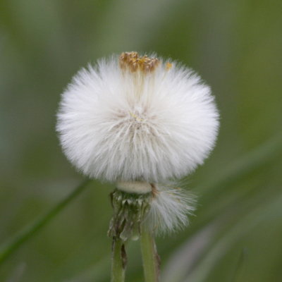 20080412112