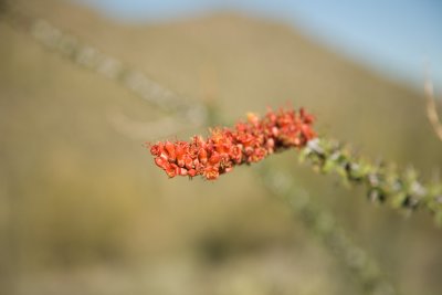 IMG_0185.jpg
