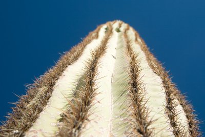 IMG_0193.jpg