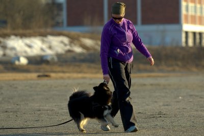 Hundetrening 18.JPG