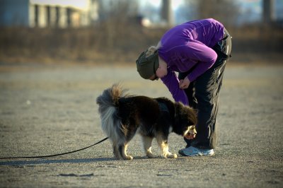 Hundetrening 21.JPG