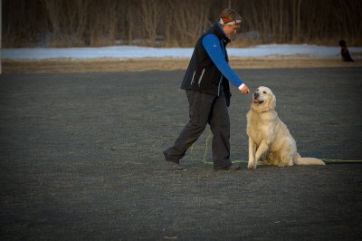 Hundetrening 26.JPG