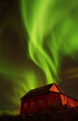 Magic Light 10.jpg