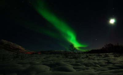 Magic Light 24.jpg