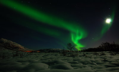 Magic Light 26.jpg