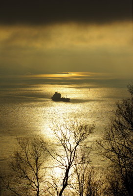 Magic Light 33.jpg