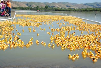 DSC_0109.JPG