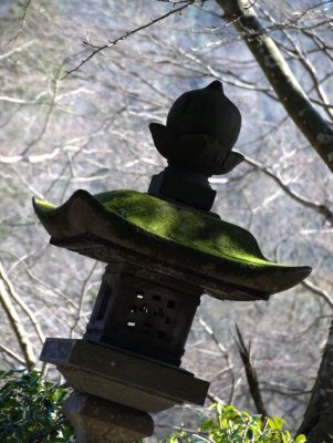 Lantern with moss