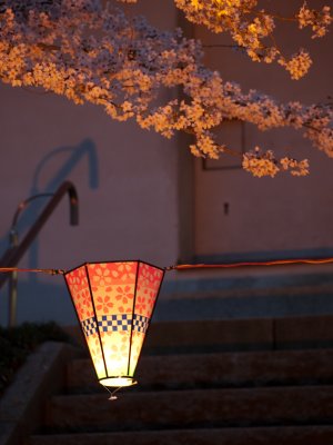 Tsukuba-2010-April-68.jpg