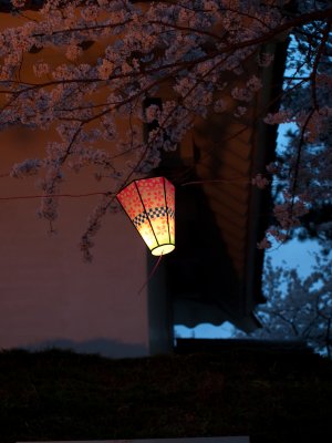 Tsukuba-2010-April-70.jpg