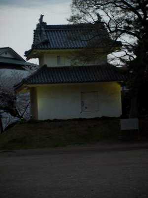 Tsukuba-2010-April-72.jpg