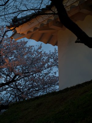 Tsukuba-2010-April-73.jpg