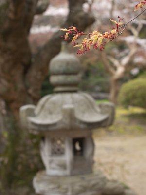 Tsukuba-2010-April-8.jpg