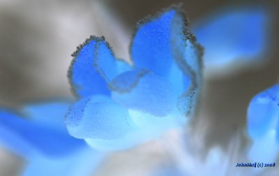 g3/46/863746/3/107736266.qgnYgFtq.jpg