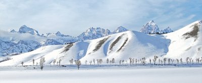Tetons 5251.jpg
