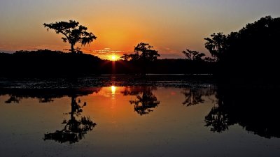 Caddo Lake1018.jpg