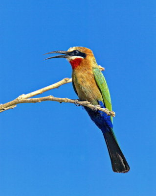 EFCT0489_2.jpg