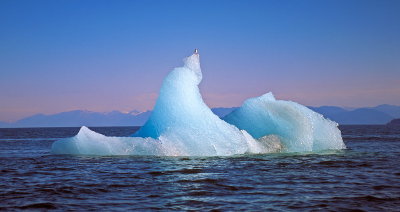 Alaska 1442.jpg
