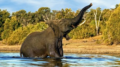 Botswana 0785 .jpg