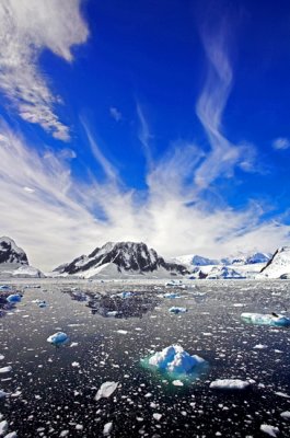 Antarctic 072Ajpg