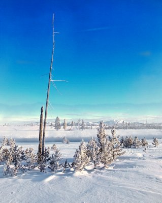 Yellowstone 6382.jpg