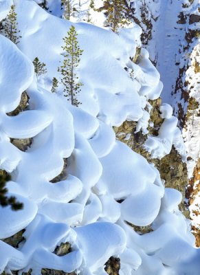 Yellowstone 7158.jpg