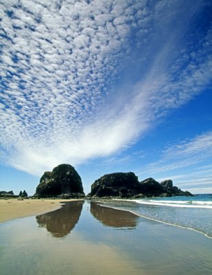 NW Coast 110.jpg