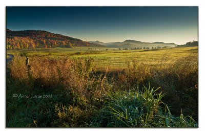Fraicheur du Matin