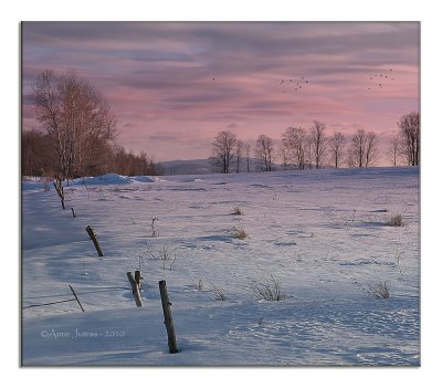 Winter Tranquility