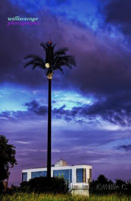 g3/46/902746/3/121976095.JZ5tcIVN.jpg