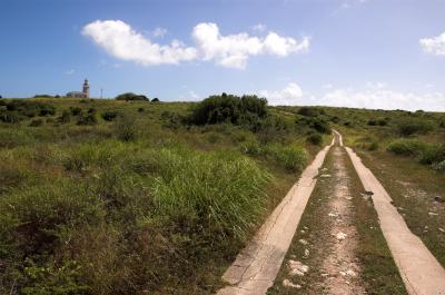 service road leading to Los Morillos Lighthouse.