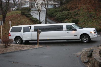 IMG_3043 (Large).JPG
