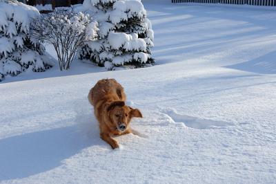 freeze