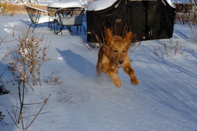 airborne