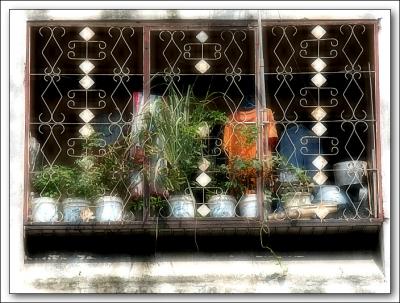 Windows XVII
