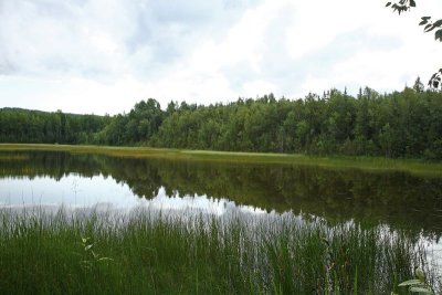 CoyoteGdns_18Jul2009_ 019.JPG