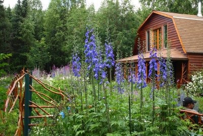 CoyoteGdns_18Jul2009_ 021.JPG