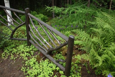 CoyoteGdns_18Jul2009_ 024.JPG
