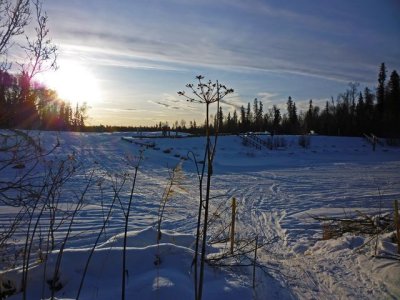 Su100_15Feb2010_ 0020.jpg