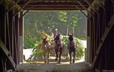 Covered bridge crossing1a pc.jpg