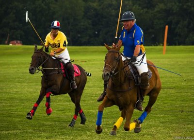 Polo2 pc.jpg