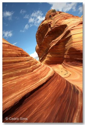 Coyote Buttes