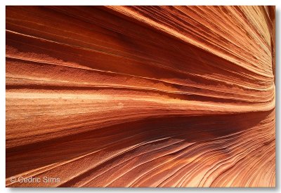 Coyote Buttes