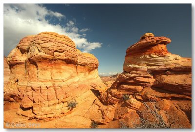 Coyote Buttes