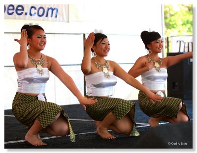 Pacific Rim  Street Festival 2010