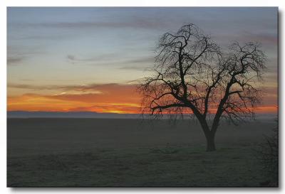 Awaiting Sunrise