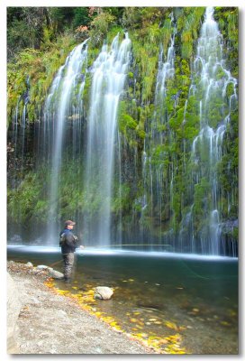 Mossbrae Falls and Surroundings